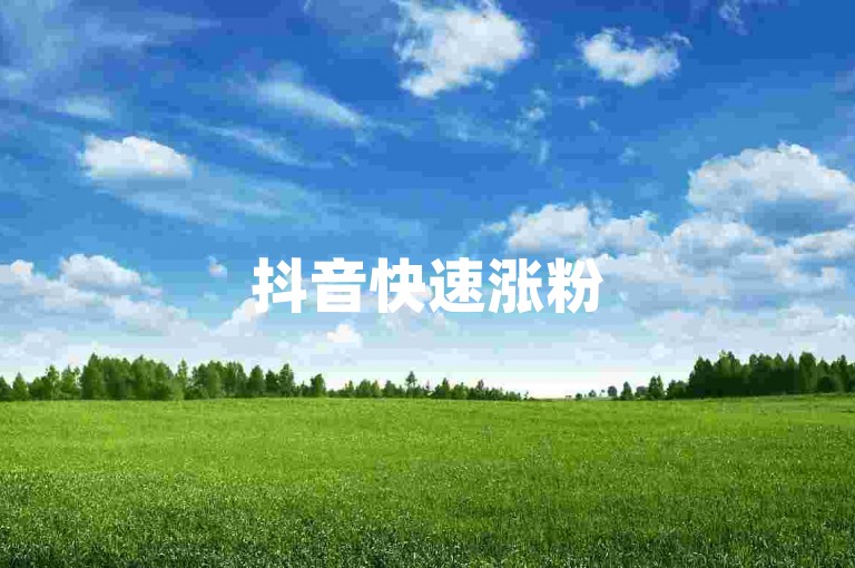 抖音快速涨粉50万攻略，Q赞网24小时自动下单平台实战技巧大揭秘