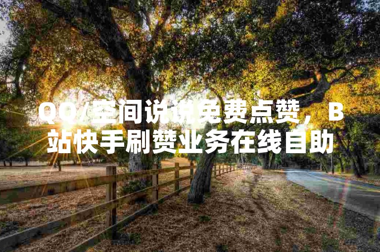 QQ/空间说说免费点赞，B站快手刷赞业务在线自助下单平台