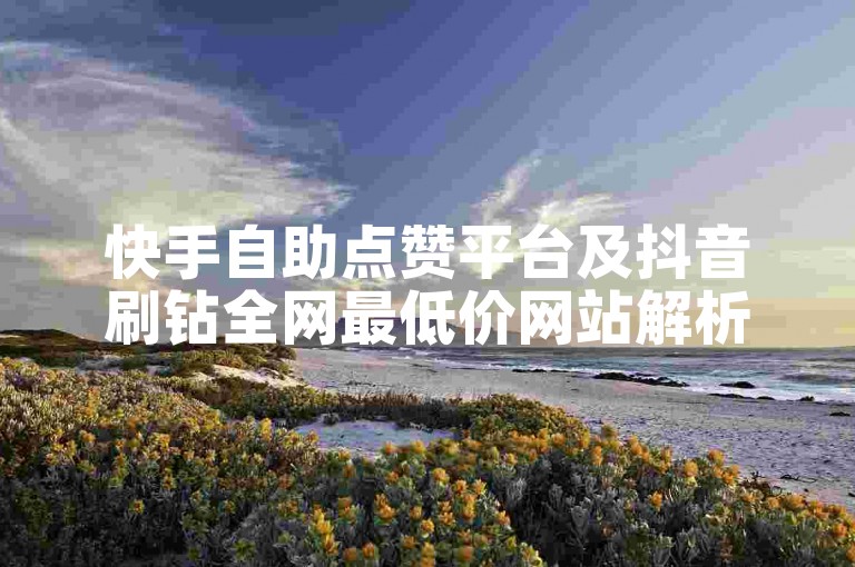 快手自助点赞平台及抖音刷钻全网最低价网站解析