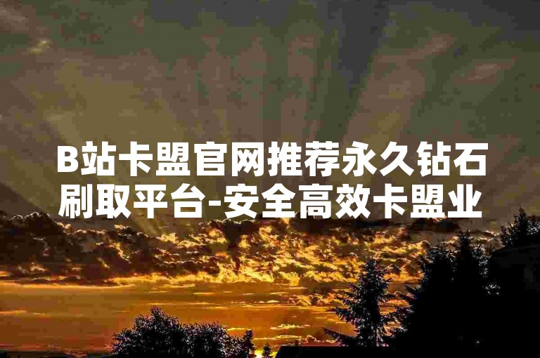 B站卡盟官网推荐永久钻石刷取平台-安全高效卡盟业务首选