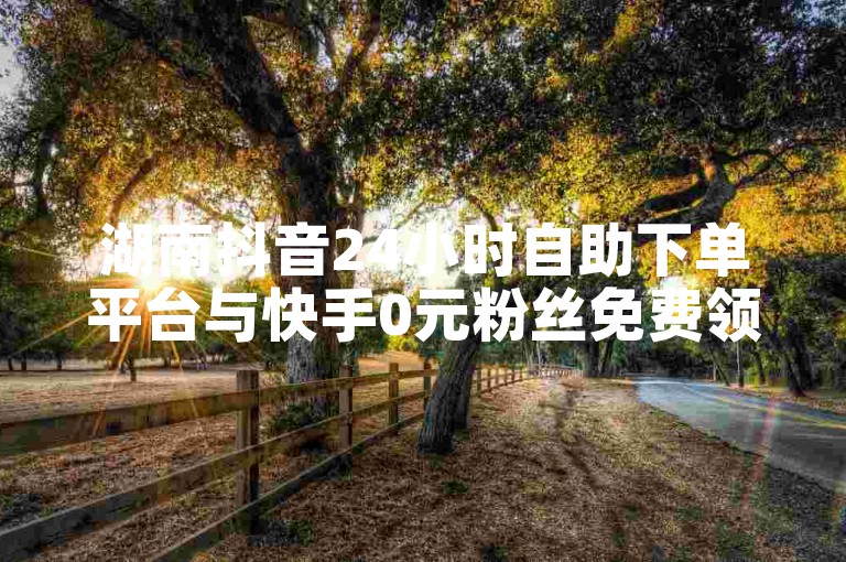 湖南抖音24小时自助下单平台与快手0元粉丝免费领取网站推荐