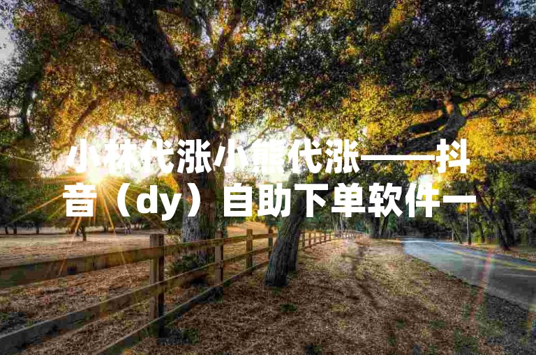 小林代涨小熊代涨——抖音（dy）自助下单软件一键下载安装指南