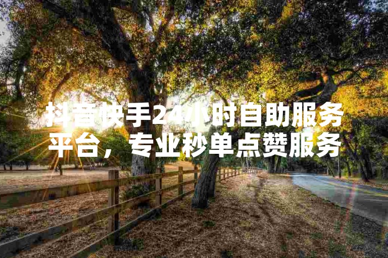 抖音快手24小时自助服务平台，专业秒单点赞服务在线推荐