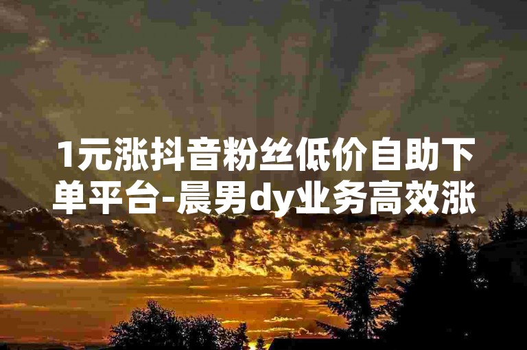 1元涨抖音粉丝低价自助下单平台-晨男dy业务高效涨粉服务