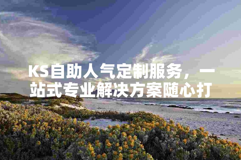 KS自助人气定制服务，一站式专业解决方案随心打造