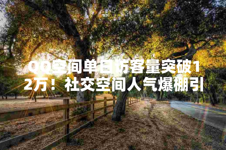 QQ空间单日访客量突破12万！社交空间人气爆棚引发热议
