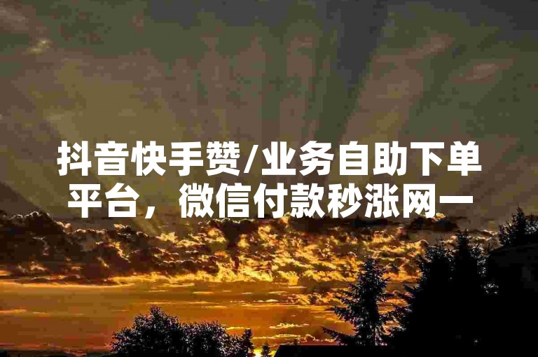 抖音快手赞/业务自助下单平台，微信付款秒涨网一键速提