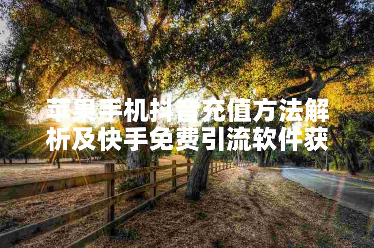 苹果手机抖音充值方法解析及快手免费引流软件获取指南