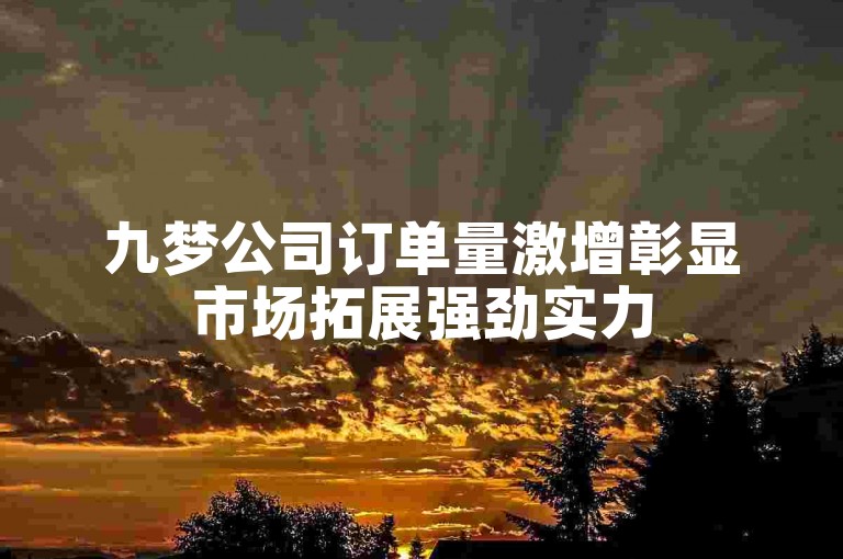 九梦公司订单量激增彰显市场拓展强劲实力